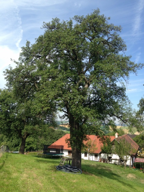 Greinöd BB3